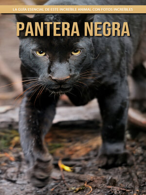 cover image of Pantera negra